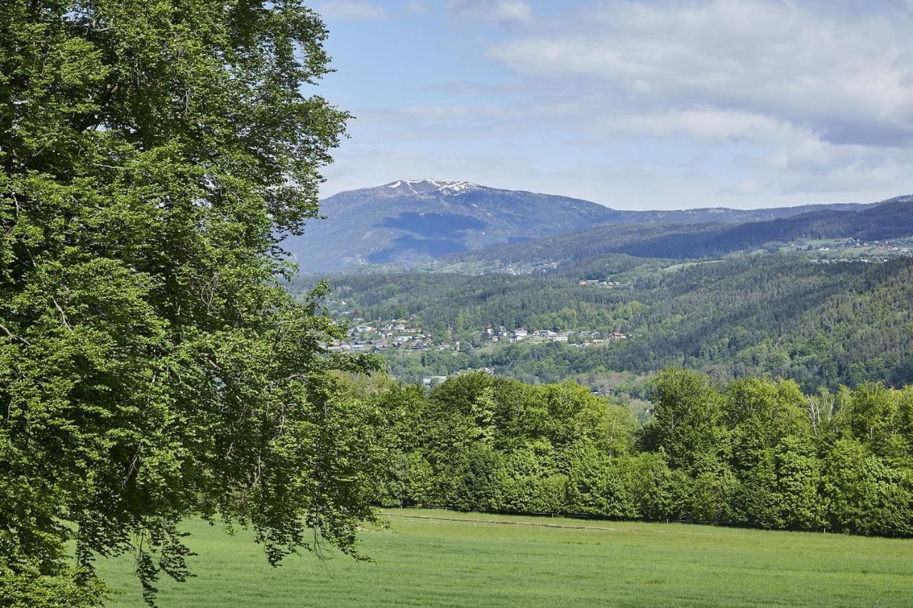 Seeblick Susanne Schiefling am See Bagian luar foto